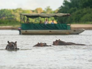 3-1-padug46o2xxl3n18lpswapx4gkl4yu6zvm9tm31ils