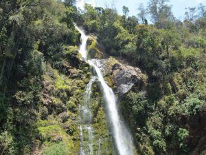 5-9-paftg1xpxyth3se4q193v8kjacp2hk37mc23brbt68