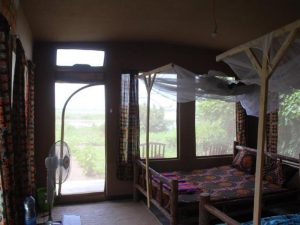 Selous-Tented-Camp-pahf429cb8pv7gvgaeftud4b4ob8vrp8dmieud7ipc