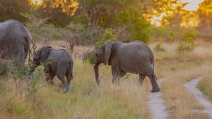 sa1-pgiwnhmhkyh6ayiacb13xg85pvols201rtwbojpeok