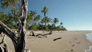 sa4-pgiwnn9ipyow8ma3fdgvcesxa6wt28mfslt8k7h1n8