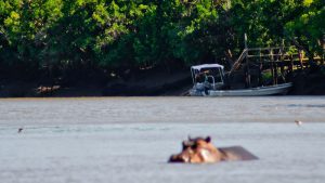 sa5-pgiwnq31agsr7g5zywor1w3b2ciwpbxmszrp01cv4k